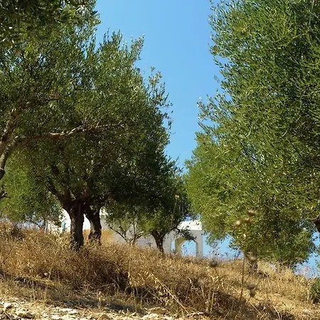 Beautiful Villa In Akritochori Greece With Swimming Pool 菲尼孔塔